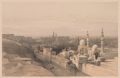 Egypt and Nubia: Volume III - No. 26, Cairo, Looking West by Louis Haghe