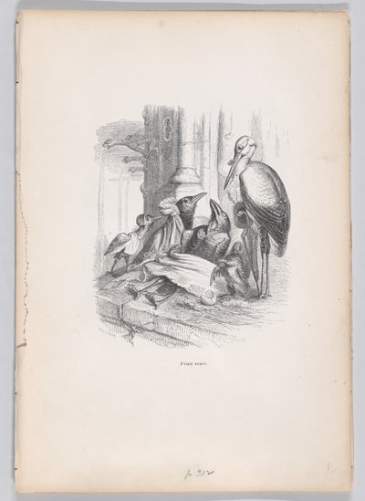 I Was a Widow from Scenes from the Private and Public Life of Animals by Louis Henri Brévière