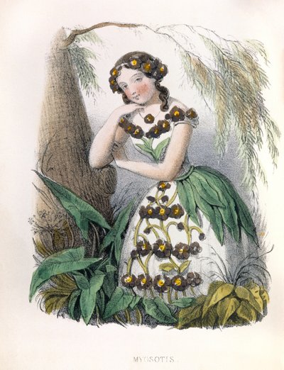 Allegory, the Forget-Me-Not by Louis Simon (1810-1870) Lassalle