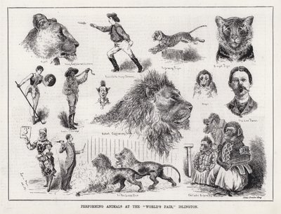 Performing Animals at the World