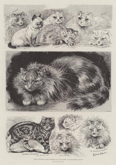 49 Louis Wain Cat Art Prints, Volume 1: Professionally Edited Cat Artwork  See more