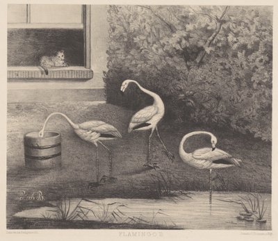 Three Flamingos and a Cat by Louise Marie Françoise van der Beek