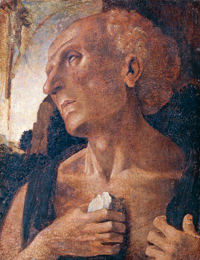 St. Jerome by Luca (attr.to) Signorelli