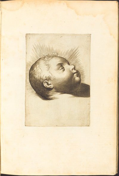 Print from Drawing Book by Luca Ciamberlano