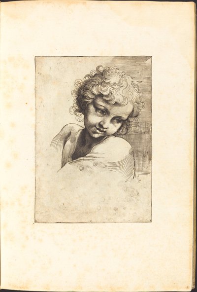 Print from Drawing Book by Luca Ciamberlano
