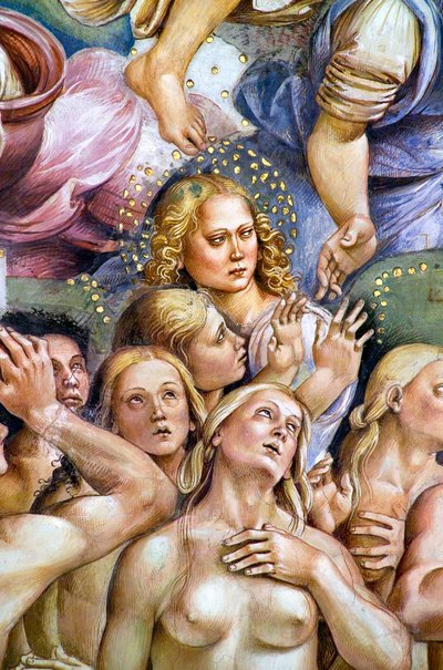Elect, from Last Judgment fresco cycle by Luca Signorelli