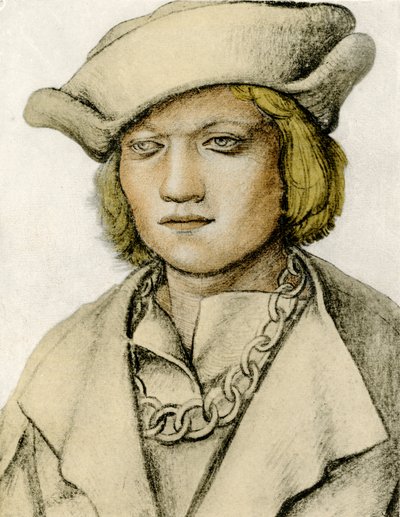 Portrait of a Young Man with Hat by Lucas Cranach the Elder