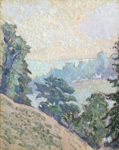 Brookleton Dale, Youlgrave, Derbyshire by Lucien Pissarro