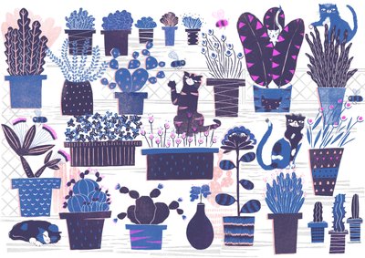Cat Garden by Lucy Banaji