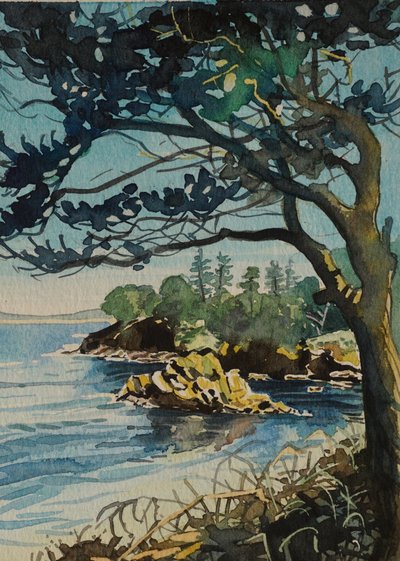 Coastal Pine Vista by Luisa Millicent