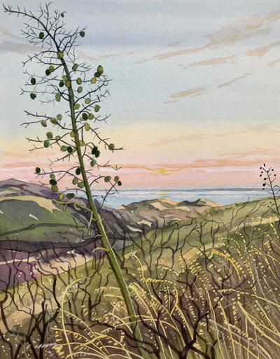 Coastal Plant Sunset View by Luisa Millicent
