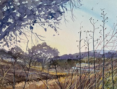 Golden Hour Countryside by Luisa Millicent