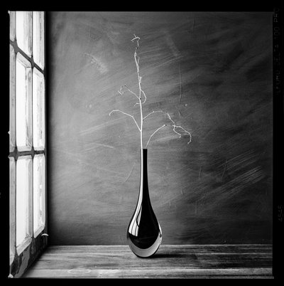 Minimalist Branch Vase by Luiz Laercio