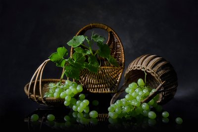 Abundant Grapes Still Life by Lydia Jacobs