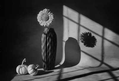 Autumn Sunflower Still Life by Lydia Jacobs