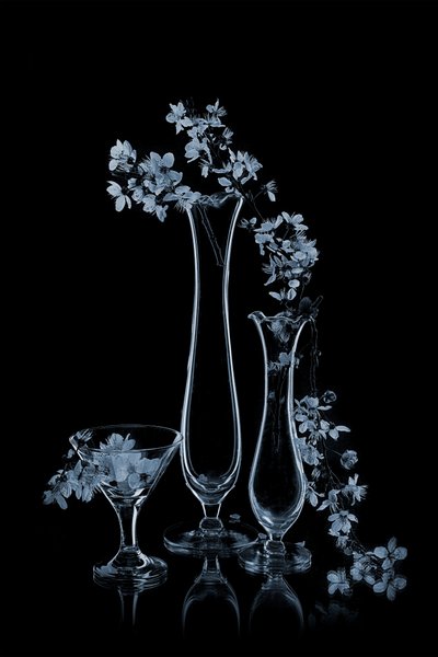 Blue Flowers in Glass Vases by Lydia Jacobs