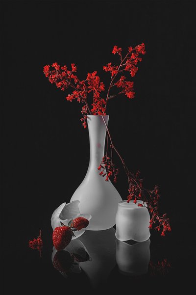 Dark Romantic Still Life by Lydia Jacobs