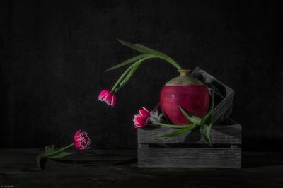 Dark Tulips and Radish by Lydia Jacobs