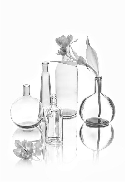 Elegant Glass Tulips by Lydia Jacobs