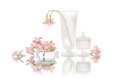 Elegant Pink Flowers Reflection by Lydia Jacobs