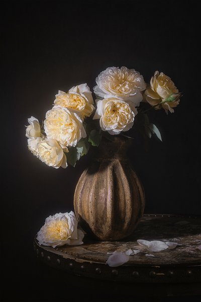 Elegant Rose Still Life by Lydia Jacobs