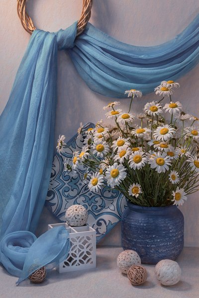 Fresh Blue Daisy Still Life by Lydia Jacobs
