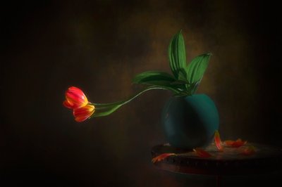 Graceful Tulips Still Life by Lydia Jacobs
