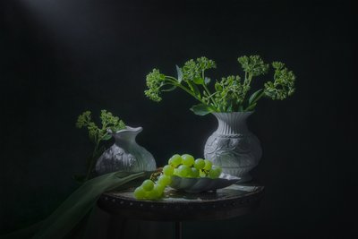 Green Grapes Still Life by Lydia Jacobs