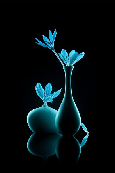Luminous Blue Still Life by Lydia Jacobs
