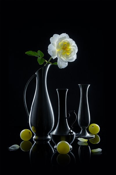 Luminous Rose and Vases by Lydia Jacobs