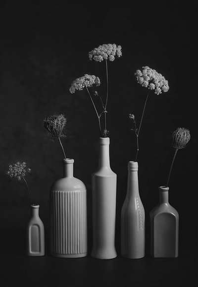Monochrome Botanical Still Life by Lydia Jacobs