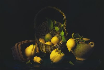 Moody Lemon Still Life by Lydia Jacobs