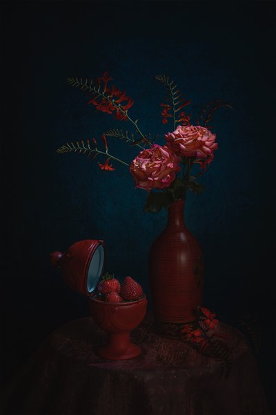 Moody Red Still Life by Lydia Jacobs