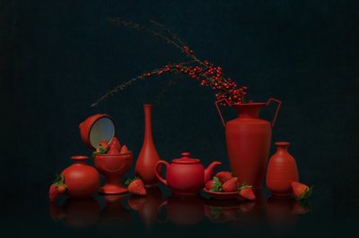 Vivid Red Still Life by Lydia Jacobs