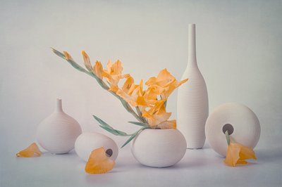 Yellow Blooms White Vases by Lydia Jacobs