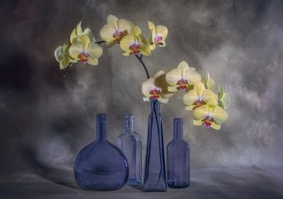 Yellow Orchids Blue Glass by Lydia Jacobs