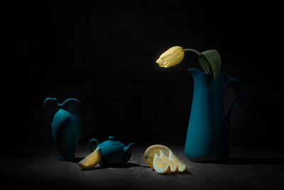 Yellow Tulip Blue Still Life by Lydia Jacobs