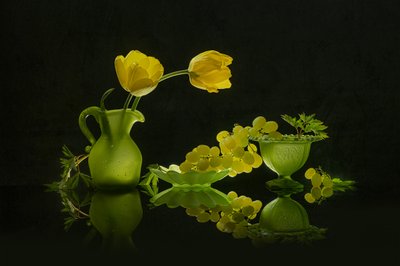 Yellow Tulips Green Grapes by Lydia Jacobs