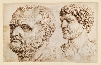 Two Heads of Ancient Statues by Maarten van Heemskerck