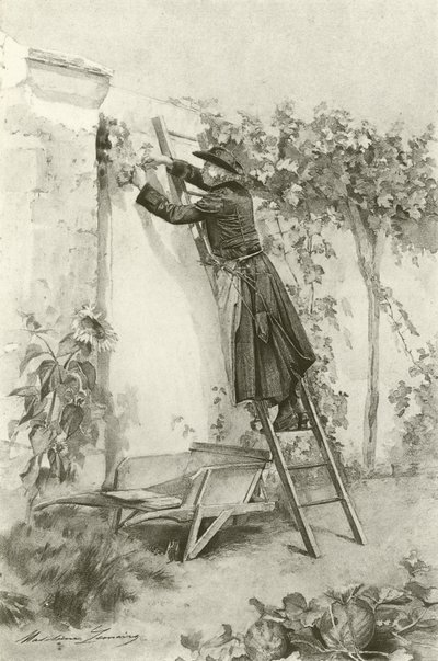 Abbe Constantin by Madeleine Lemaire