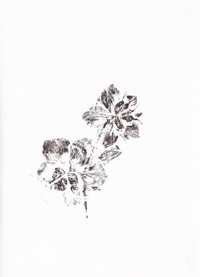 Abstract Floral Imprints by Maira Ribena