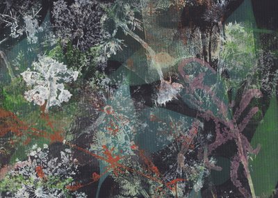 Abstract Green Dandelions by Maira Ribena