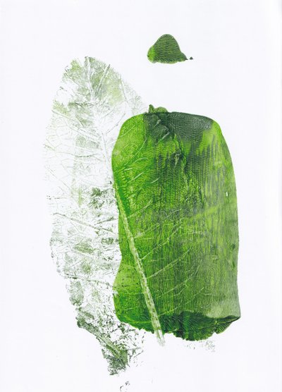 Botanical Green Shapes by Maira Ribena