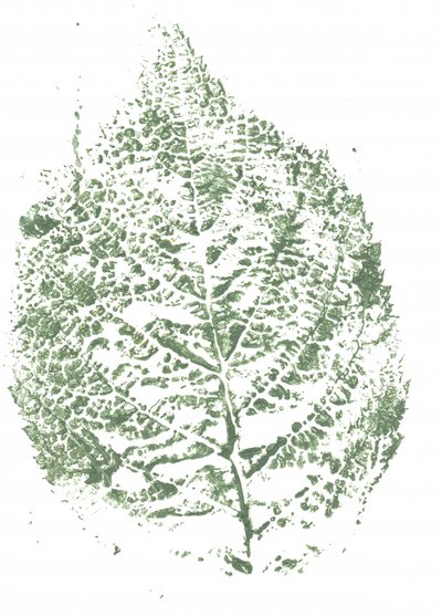Botanical Leaf Print by Maira Ribena