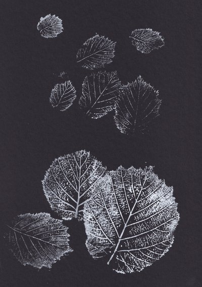 Botanical Leaf Prints by Maira Ribena