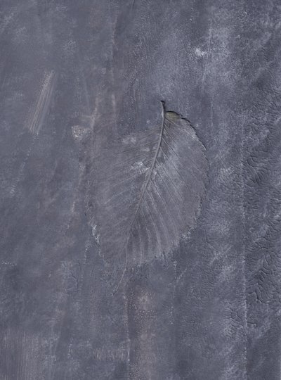 Dark Leaf Impression by Maira Ribena