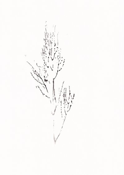 Delicate Botanical Drawing by Maira Ribena