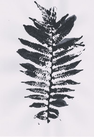 Elegant Fern Leaf by Maira Ribena