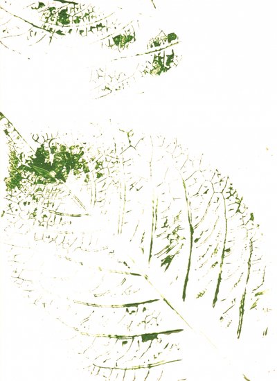 Green Leaf Prints by Maira Ribena