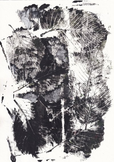 Monochrome Botanical Impressions by Maira Ribena